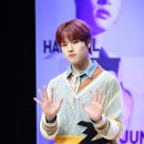도현