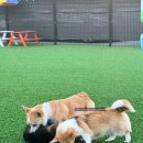 파주힐링몽 이미지