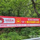 * 2025년 울산대공원 ::장미축제:: 방문 후기 -