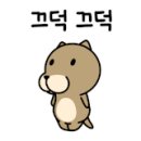 다나헤어 이미지