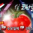 강원특판 이미지