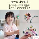 몬스터박스 | 엄마표 과학놀이, 몬스터박스 키트로 만들기 좋아하는 6세 딸에게 굿굿