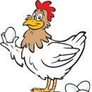 [4번 달걀의 비밀] 달걀에 관한 불편한 진실을 만나요