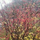 새골1교 이미지