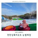 상록태권도 | 천안눈썰매장 상록리조트후기 천안 겨울방학 눈놀이 추천