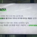 20201 강유정 공납 폐단의 심층 분석과 대동법의 역사의미 이미지