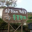 플펜션
