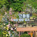 비비드플랜 | 야외 웨딩홀 추천 근화원 본식 동행 후기(애브뉴준오,브라이덜온유) │르웨딩 정희수