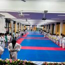 참태권도 이미지