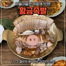 오로지족발 | 목포 하당동 맛집 가성비 황금족발