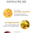 모어리즈
