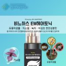 영바이오(Young Bio) 이미지