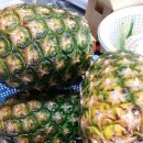 지행태능숯불갈비 이미지