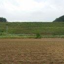 푸르뫼농장 이미지