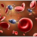 이앤컴퍼니 이미지