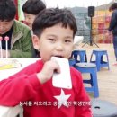 해뜨는 농장 이미지