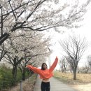 다혜