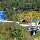 대동2터널(김해)