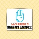 유선화