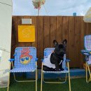 올라펜션 이미지