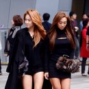 디자인소유 이미지