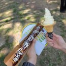 [260425] 어썸 뮤직 페스티벌 후기 | 공연 영상 포함 (정용화, FT아일랜드, 엔플라잉, 김성규)