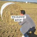에스에스솔루션 이미지