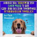 버려지는 아이스팩 유기동물을 위해 쓰여요 모두 모아 가까운 신세계 매장으로 고고 이미지