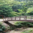 고란길(길안면) 이미지