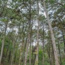 계룡숲작은도서관 이미지