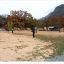 미르오토캠핑장 이미지