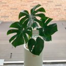 모닝 게임랜드 이미지