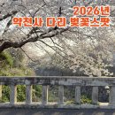 예래동 하예동무료주차장 | 서귀포 중문 숨은 벚꽃 명소 | 약천사 다리 위 레트로 포토스팟