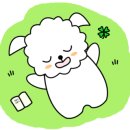 풍년홍어무침