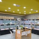 펫앤펫 인천점 강아지분양의 모든것 이미지