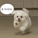 비:밀