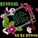 신월운동장 앞 이미지
