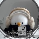 K파마세상 | [시현하다] 사진관 꿀팁 및 민증용 증명사진 후기, KFAS 서포터즈 명함 탄생 과정까지! TMI 대방출