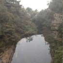 연못으로 이미지