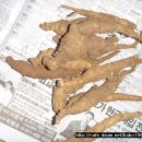 토종산야초 이미지