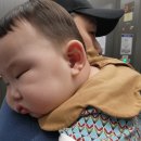 시우목장 이미지