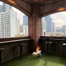 진흥카 | 서면 애견카페 멍프탑 내돈내산 후기, 셀프 스튜디오 무료 사진 출력