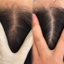 동래 지하철역(1호선) | [부산 동래] 부산 1호선 두피케어 추천✨️ (솔직후기)