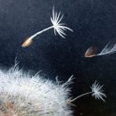 색연필 일러스트 이미지