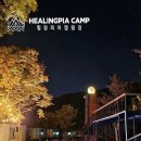 힐링피아카라반글램핑풀캠핑장 이미지
