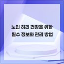 대동에스정형외과의원 | 노인 허리 건강을 위한 필수 정보와 관리 방법
