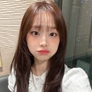 미니코디