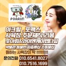 와이엔케이렙타일