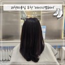 헤어지엘 | [과천미용실 추천] 데이지엘헤어 과천점 모발 클리닉 솔직 후기!