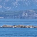 백령로 212 이미지